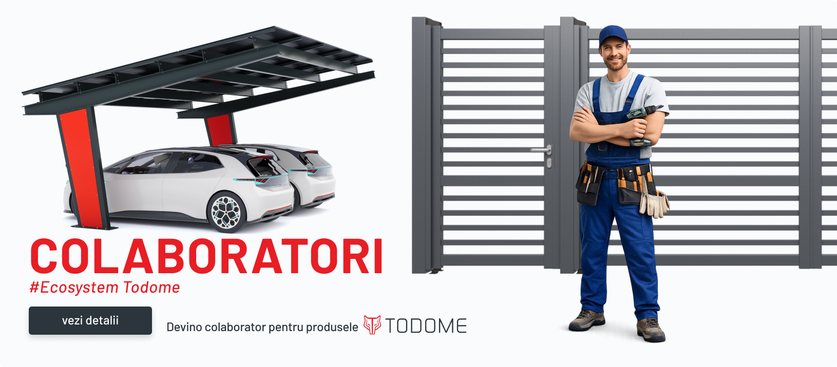 Colaboratori Todome desktop