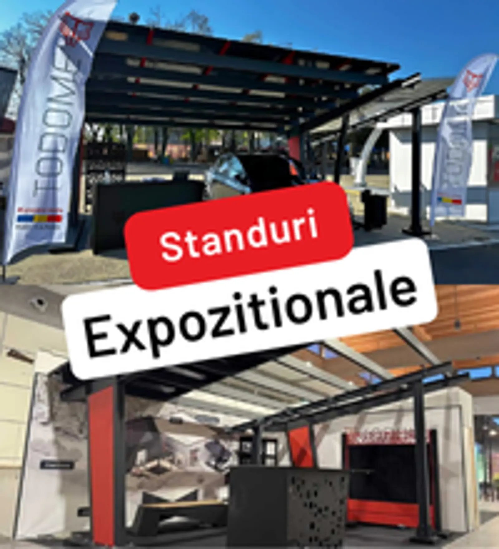 Expozitii